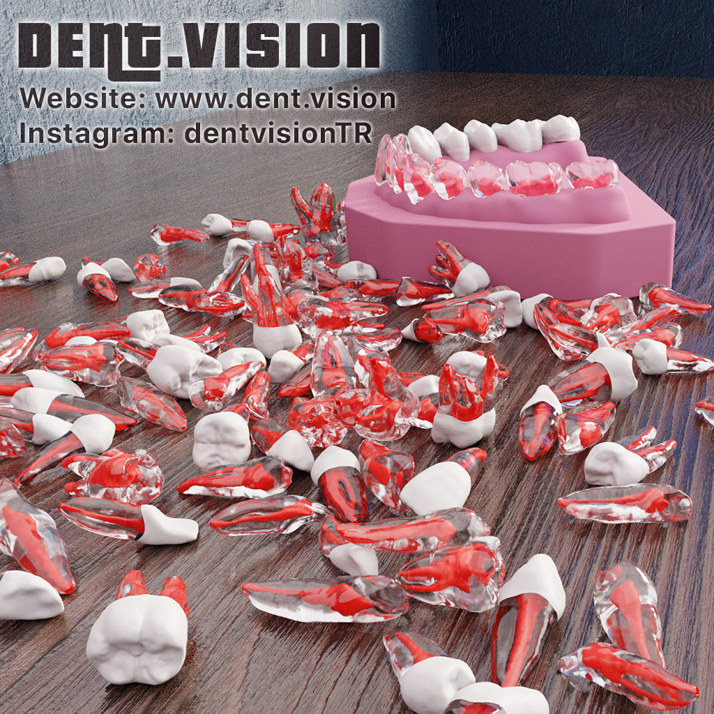 Dent.Vision Fuji Endo Endodontik Çene Uyumlu Kanallı Diş Modelleri